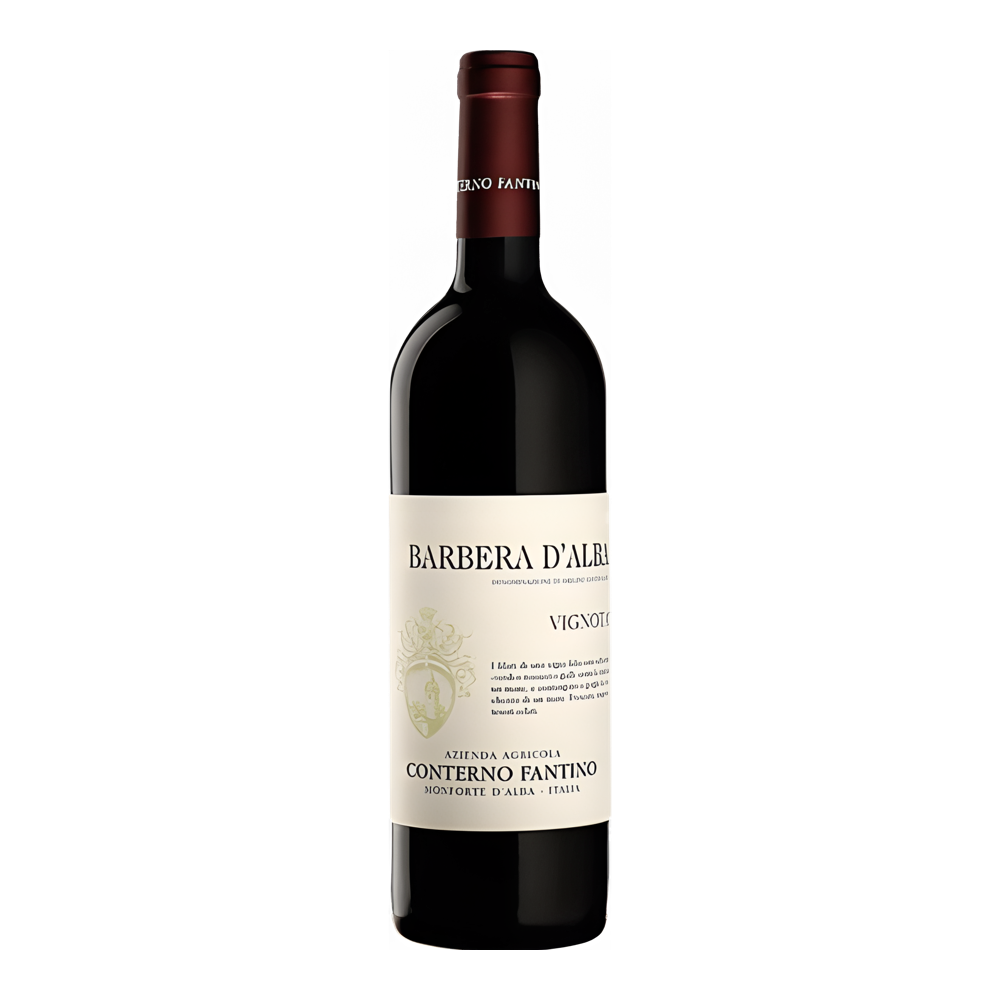 Conterno Fantino, Barbera d'Alba Vignota 2021, Bottiglia 750 ml
